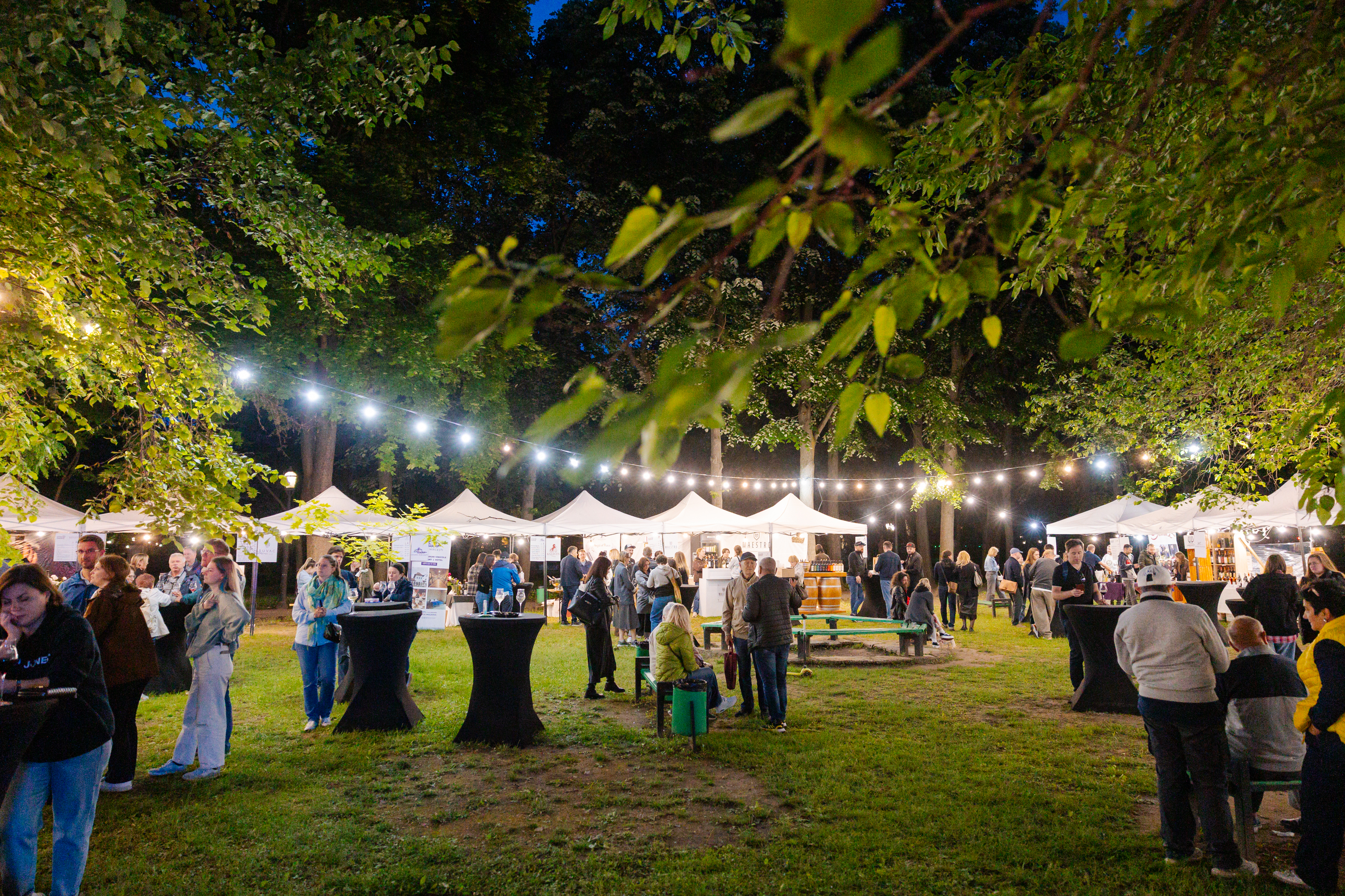 Wine Park 2026 Ziua 2 – Festivalul la apogeu